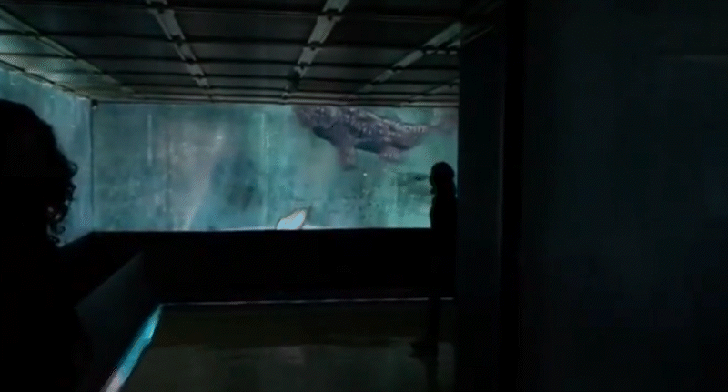 Animación interactiva