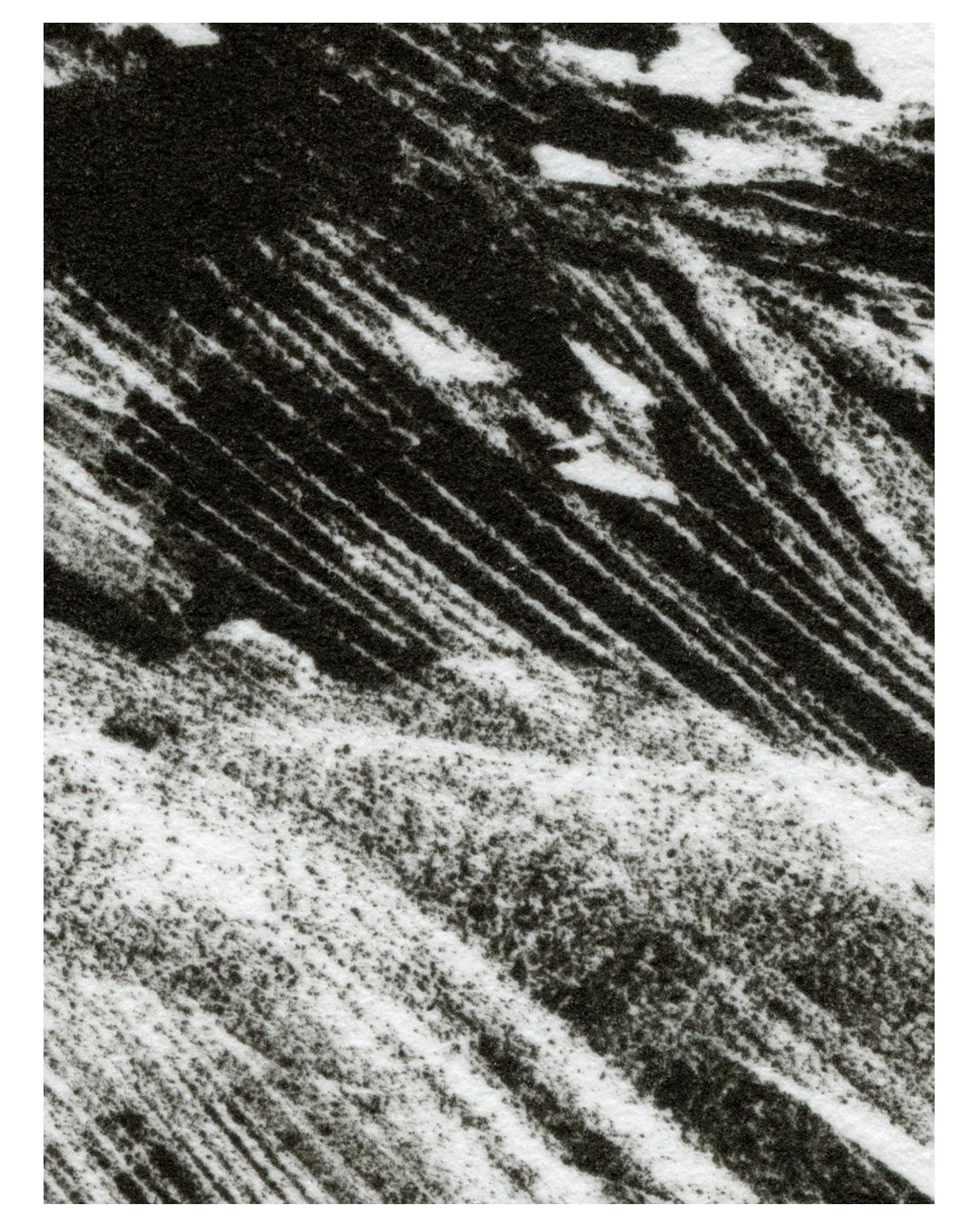 1 seg _zoom_1.jpg