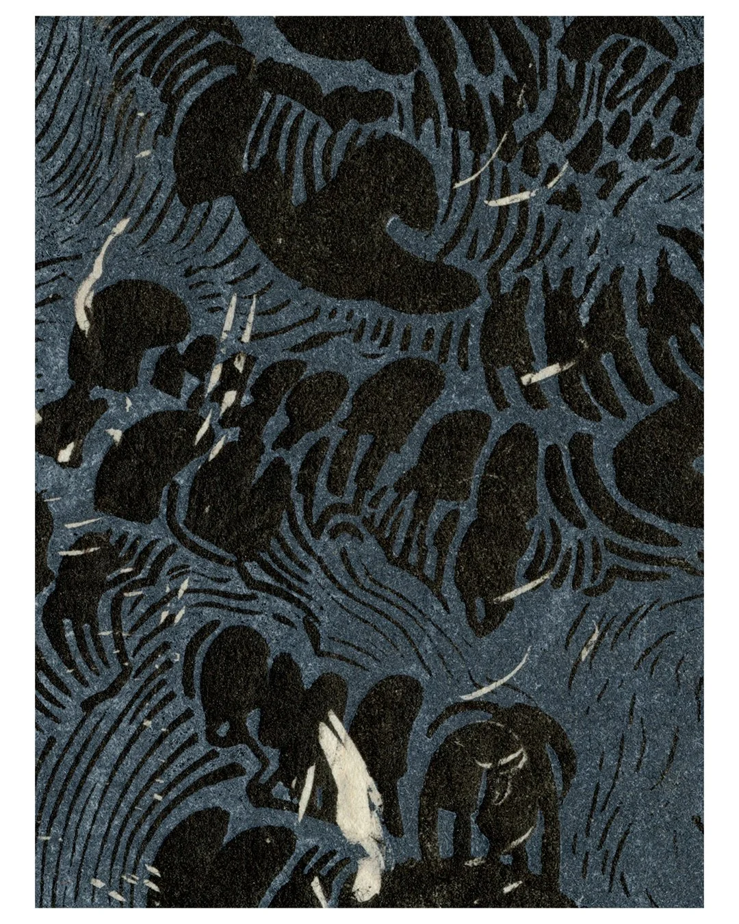 17_zoom_5.jpg