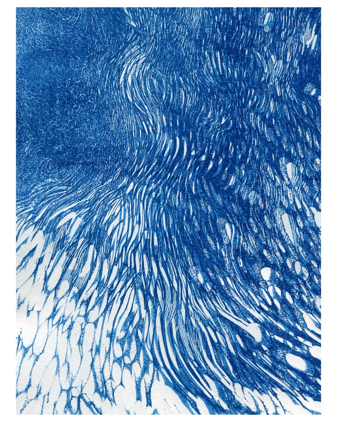 zoom_4.jpg