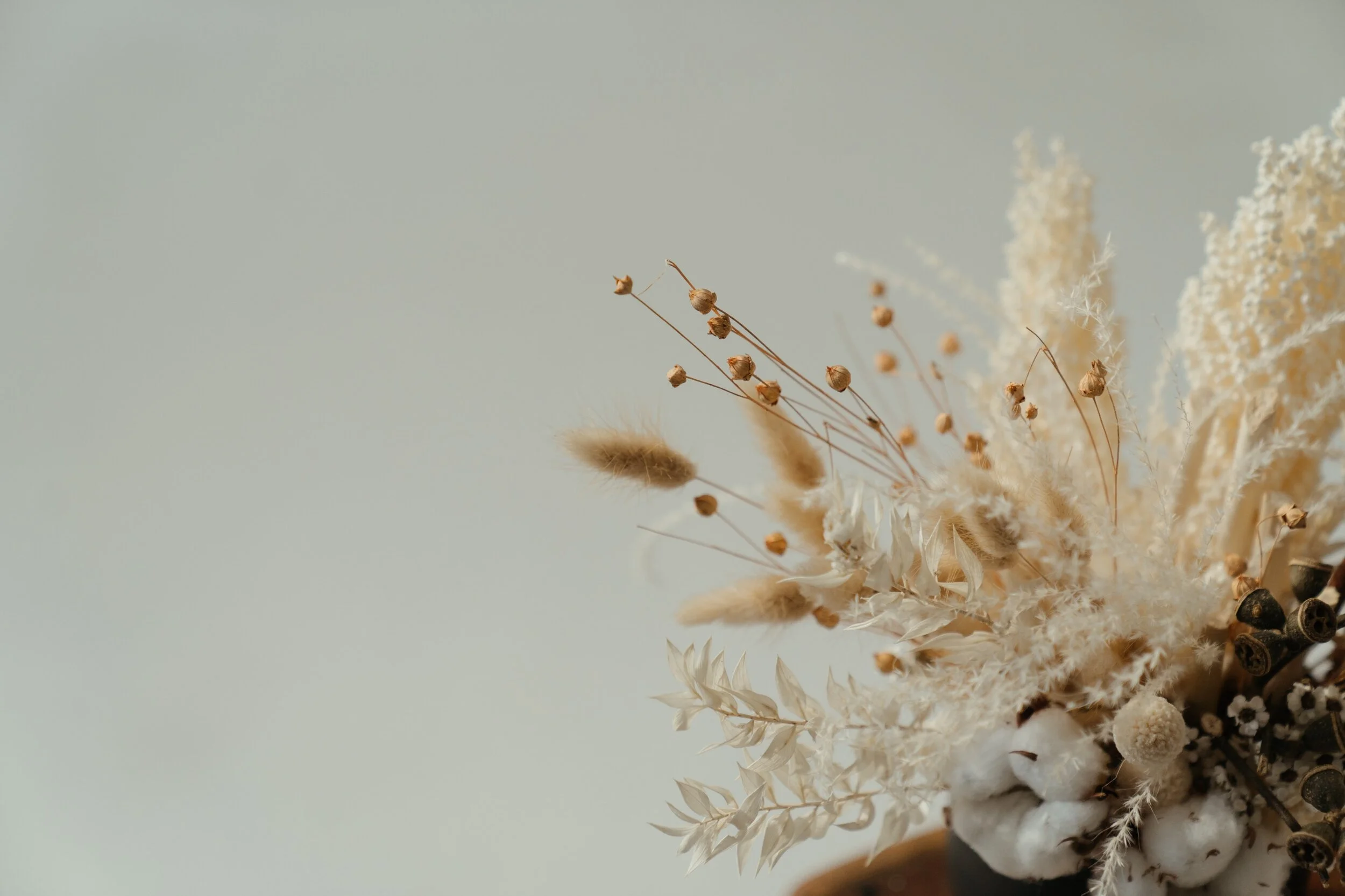 Dried beige and white flowers in a vase, including grasses, seed pods, and fluffy cotton balls.