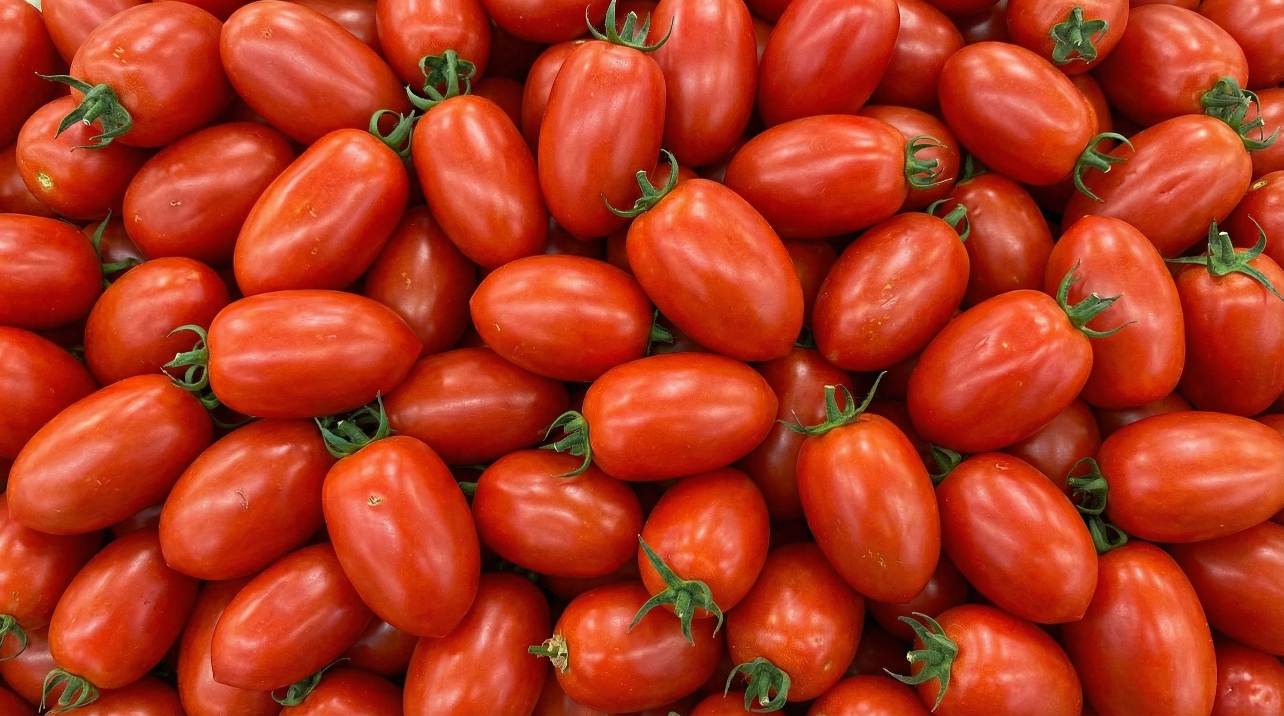 A close-up view of numerous red tomatoes, some with green stems attached.