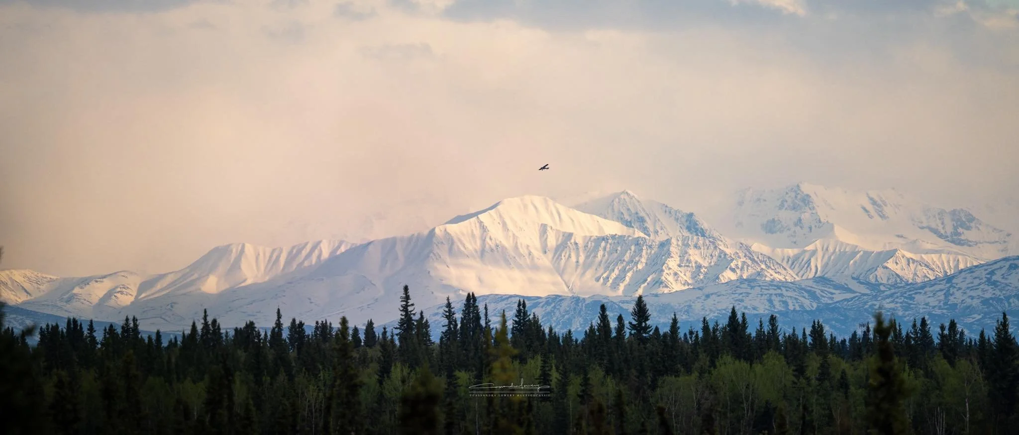 PLANE OVER ALASKA RANGE