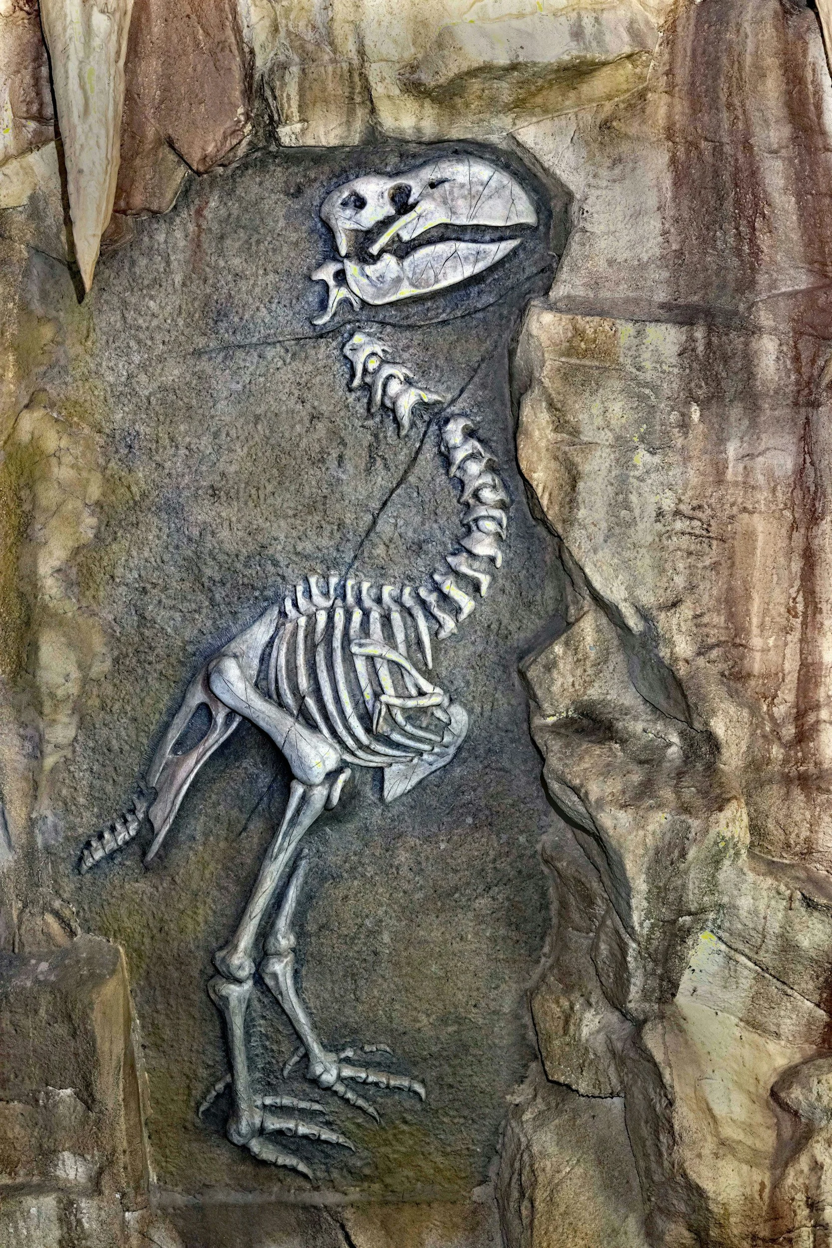 The Best Prehistoric Documentaries to Stream in 2025