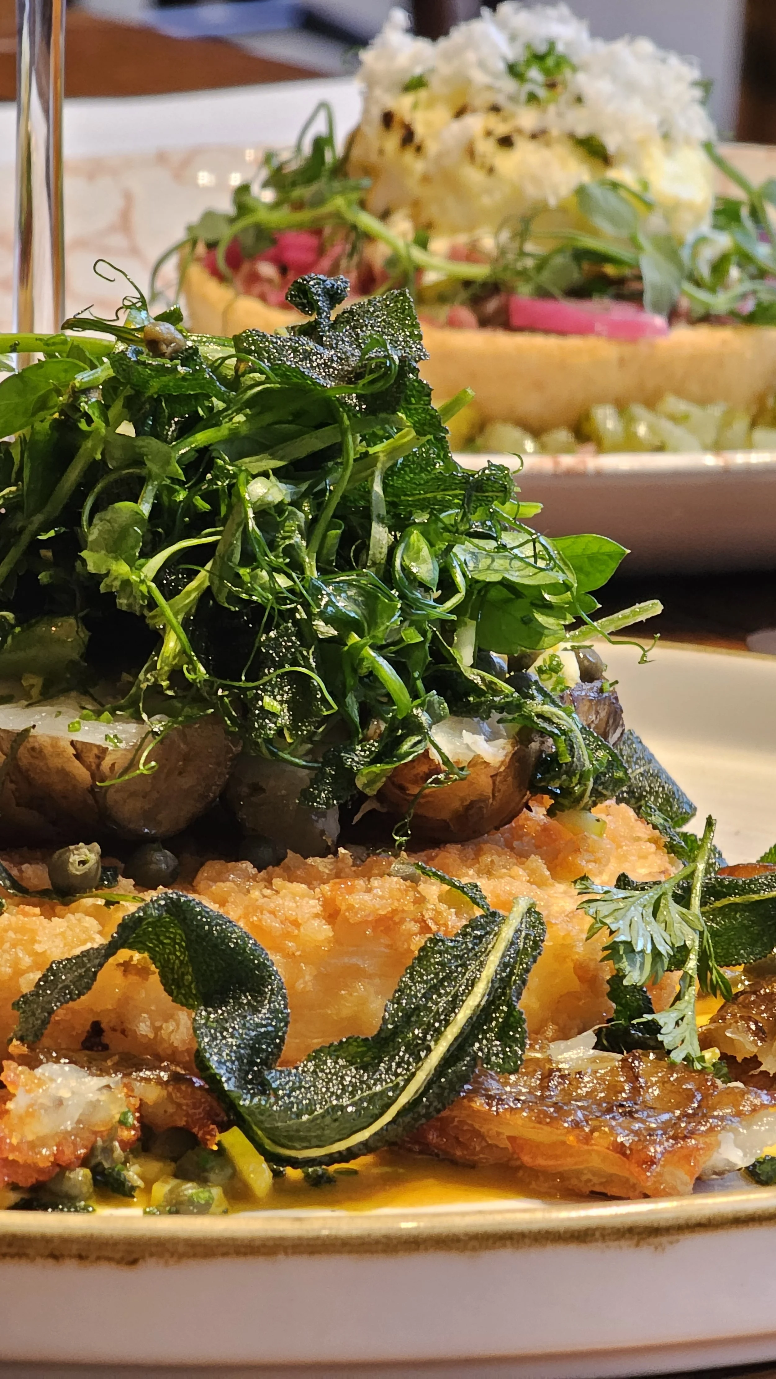 Close-up of a plated dish with greens, roasted vegetables, and herbs in the foreground, and a tart with whipped cream, pink fruit, and greens in the background.