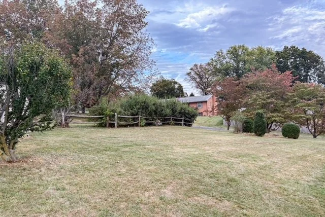 IMG_2004 (1) (1).jpg