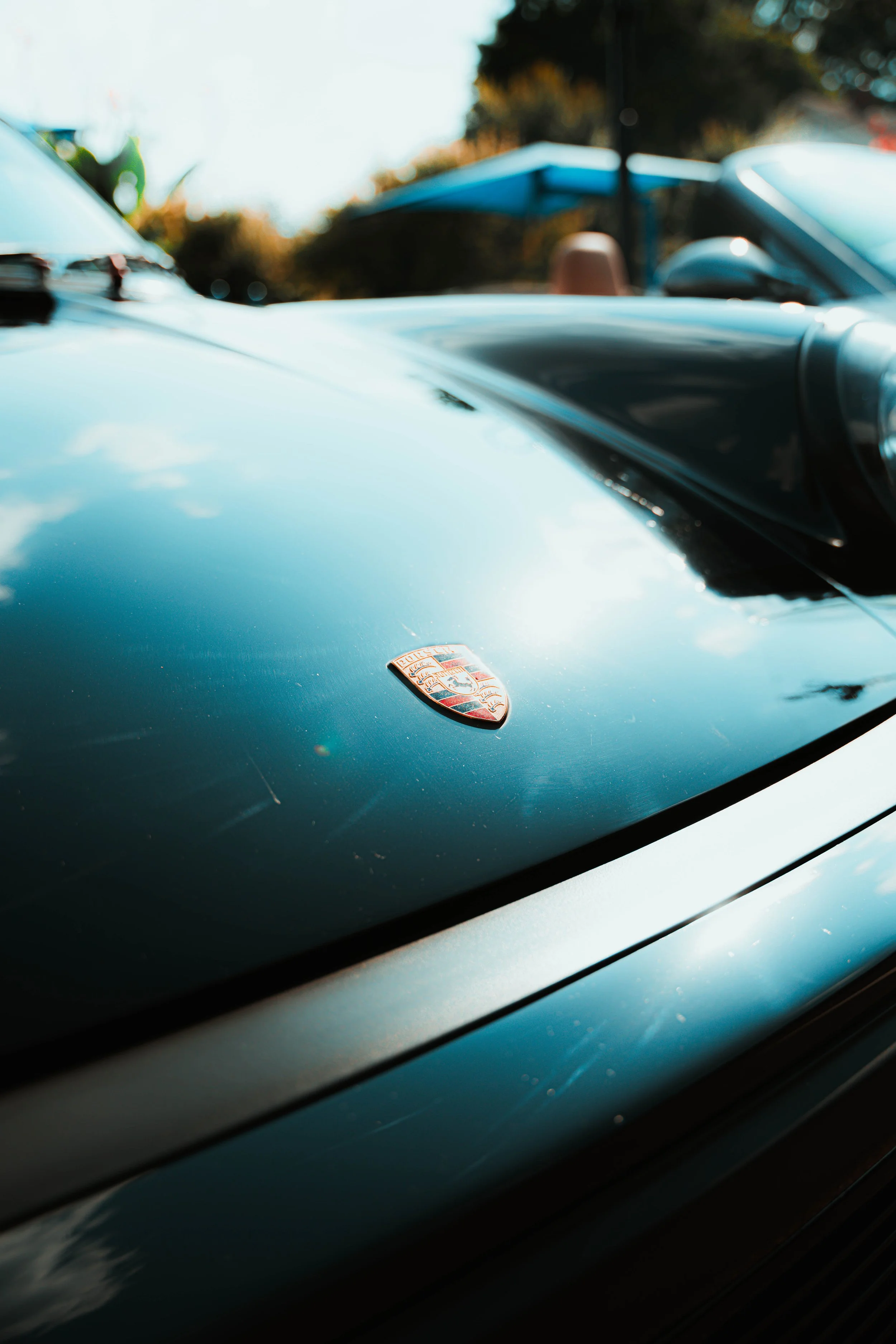 _DSC4919.jpeg