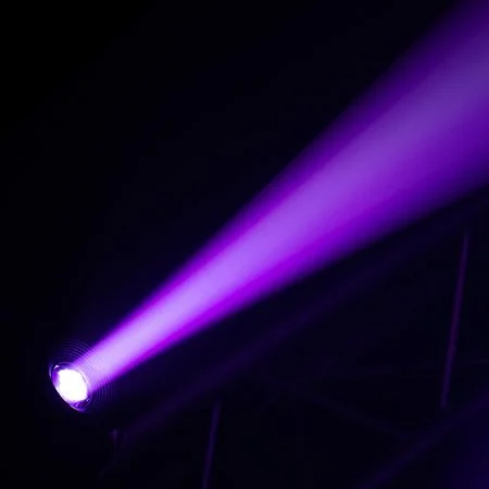 79468_29.jpg