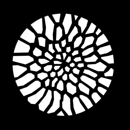88331_48.jpg