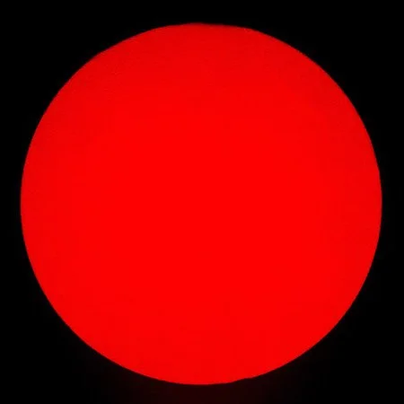 79468_31.jpg