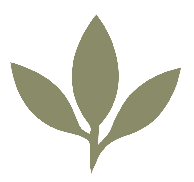 A graphic illustration of a plant with 3 green leaves.