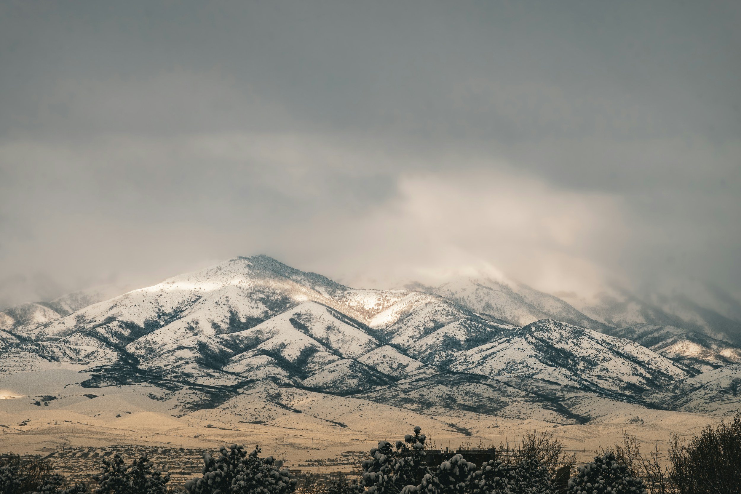 Snow-covered mountain range under cloudy sky with trees and shrubs in the foreground.