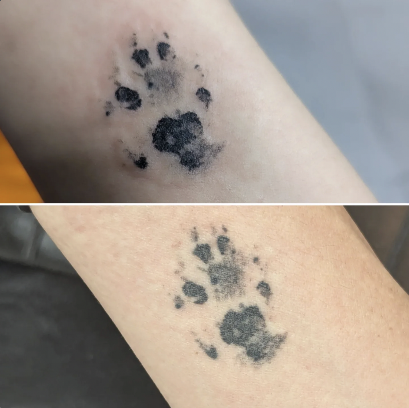 Screen Shot 2026-03-05 at 5.15.55 PM.png