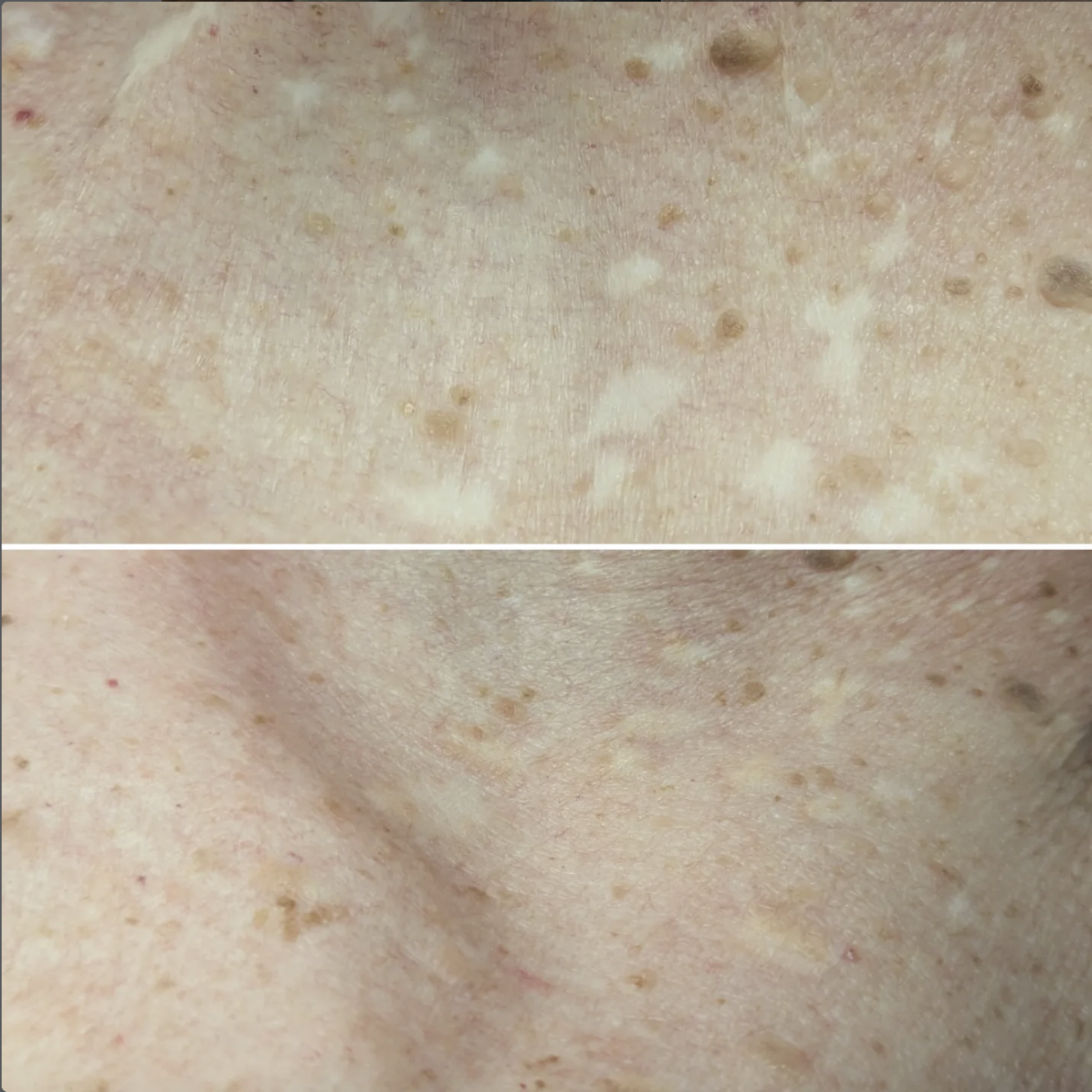 Screen Shot 2026-03-05 at 5.16.11 PM.png