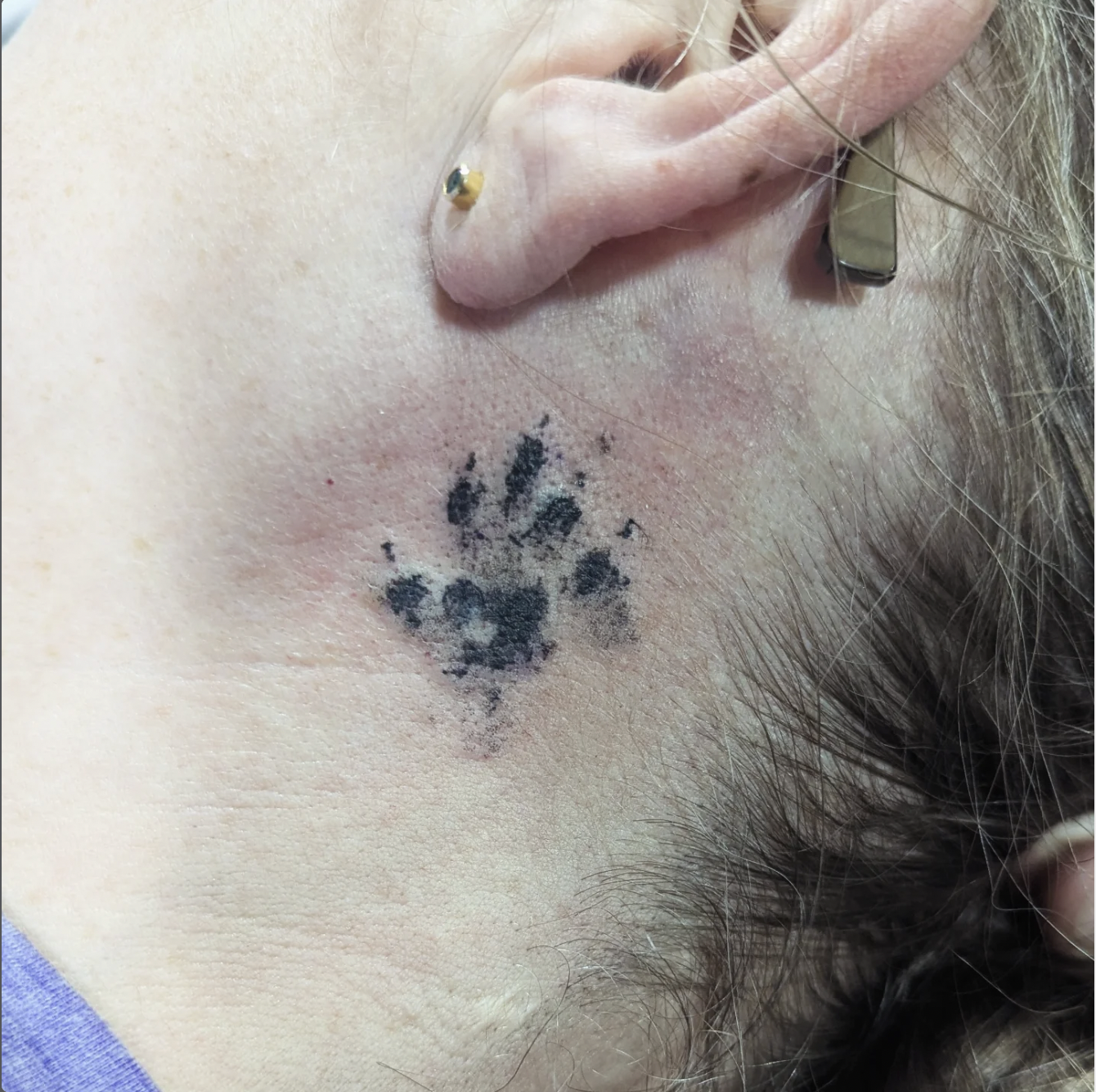 Screen Shot 2026-03-05 at 5.16.36 PM.png