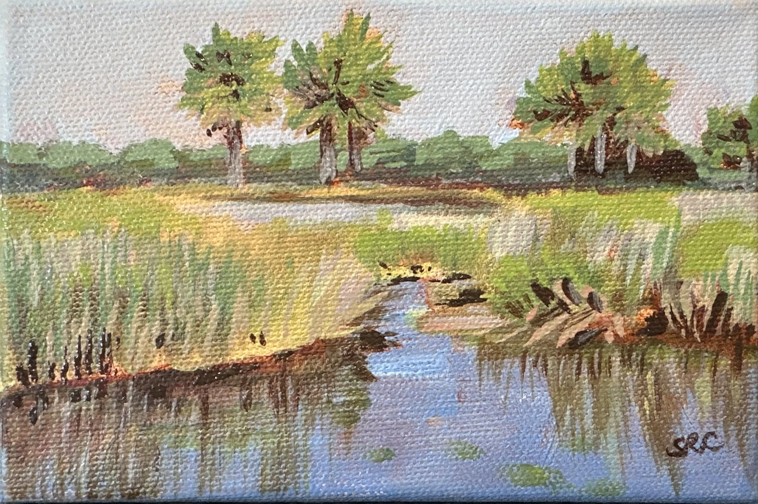 If Only I Can Follow