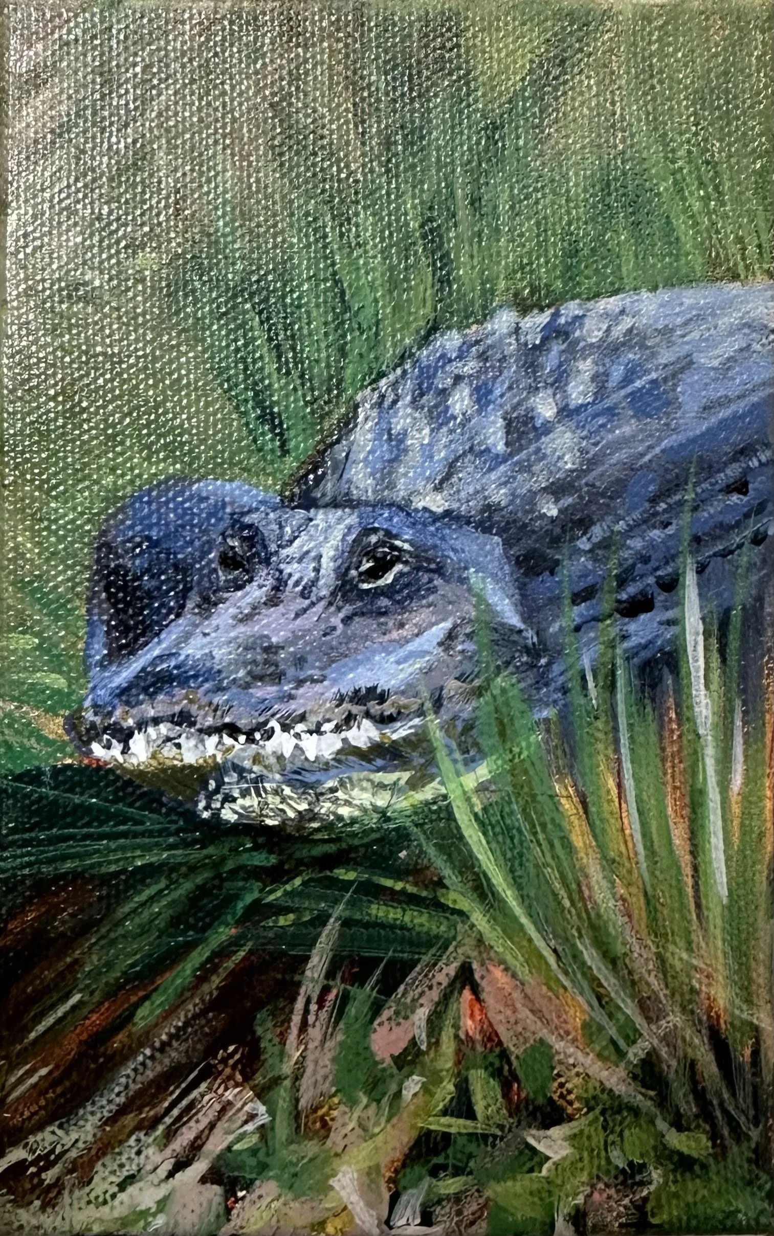 Hello from Sopchoppy