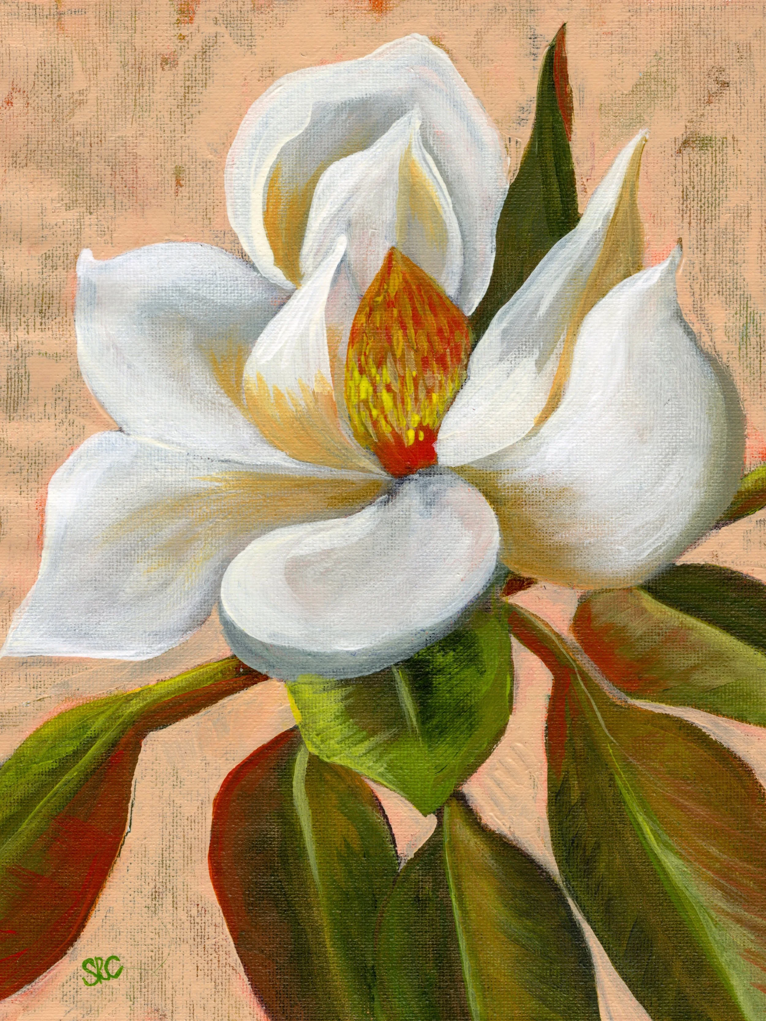 Magnolia I