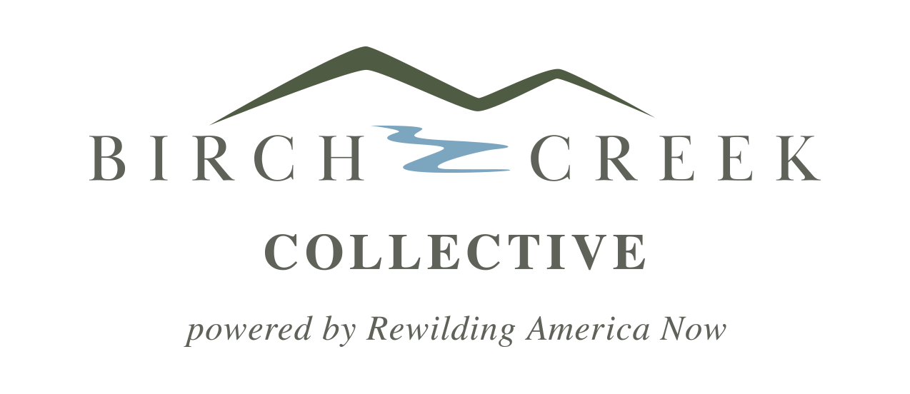 Birch Creek