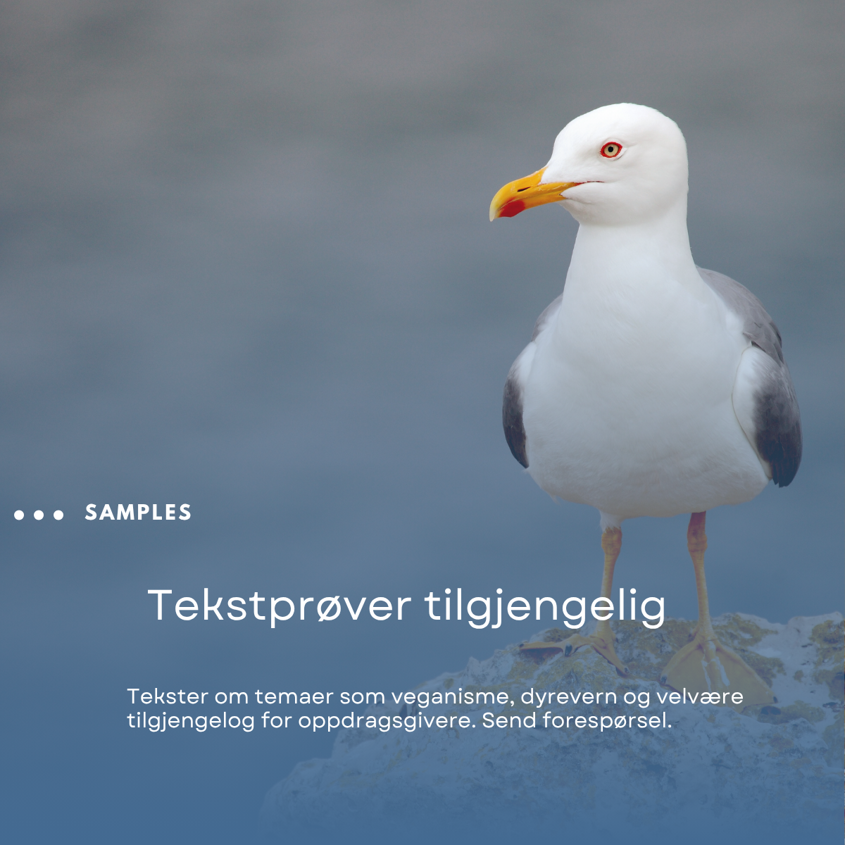 Blue Professional Article LinkedIn Post (11).png