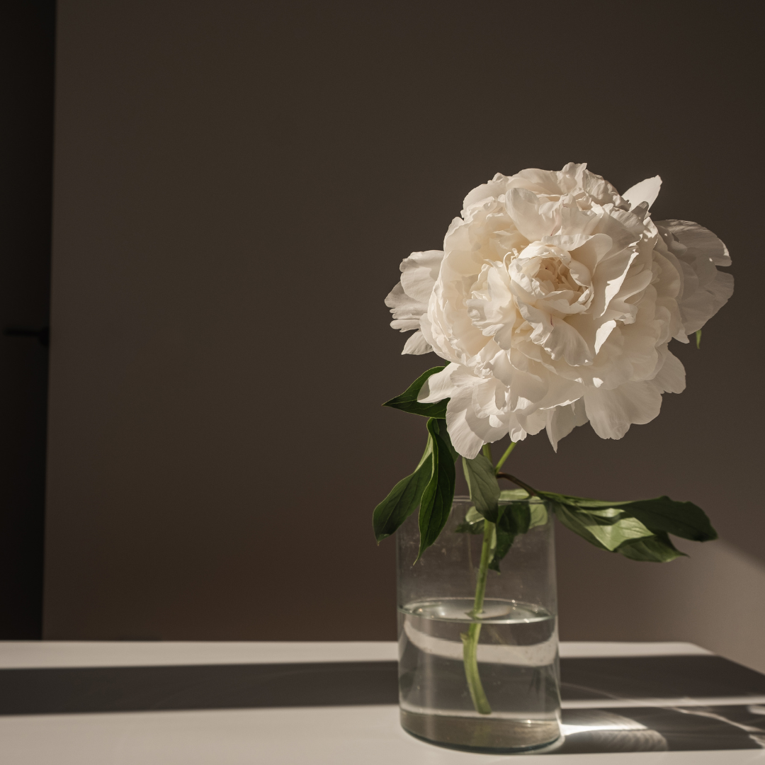 Din Squarespace Circle-partner