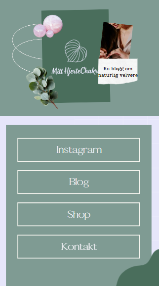 Skjermbilde 2026-03-12 004356.png