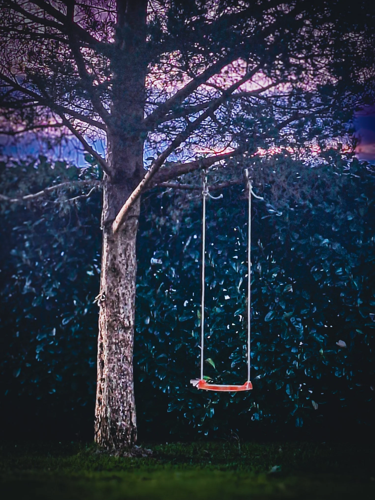 5-Delt fra Lightroom Mobile.jpg