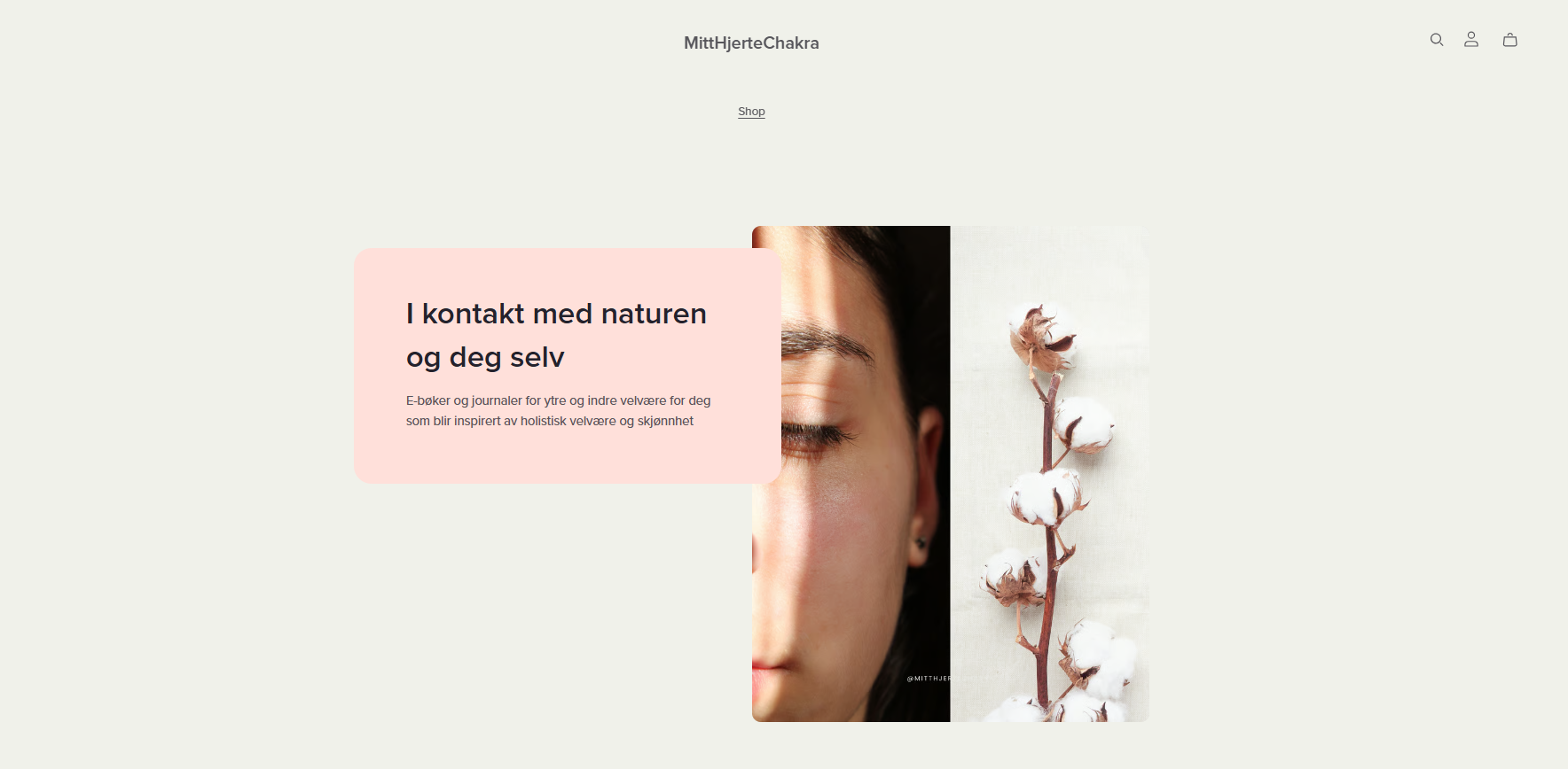 Skjermbilde 2026-03-08 003748.png