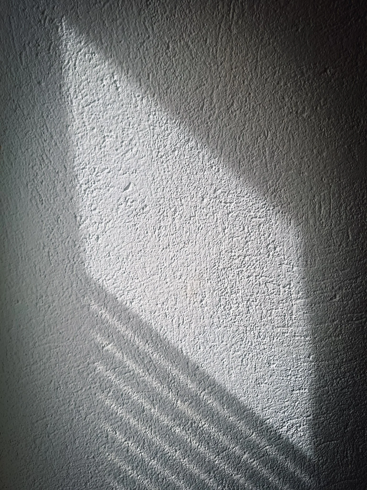 5-20260503_144621.jpg