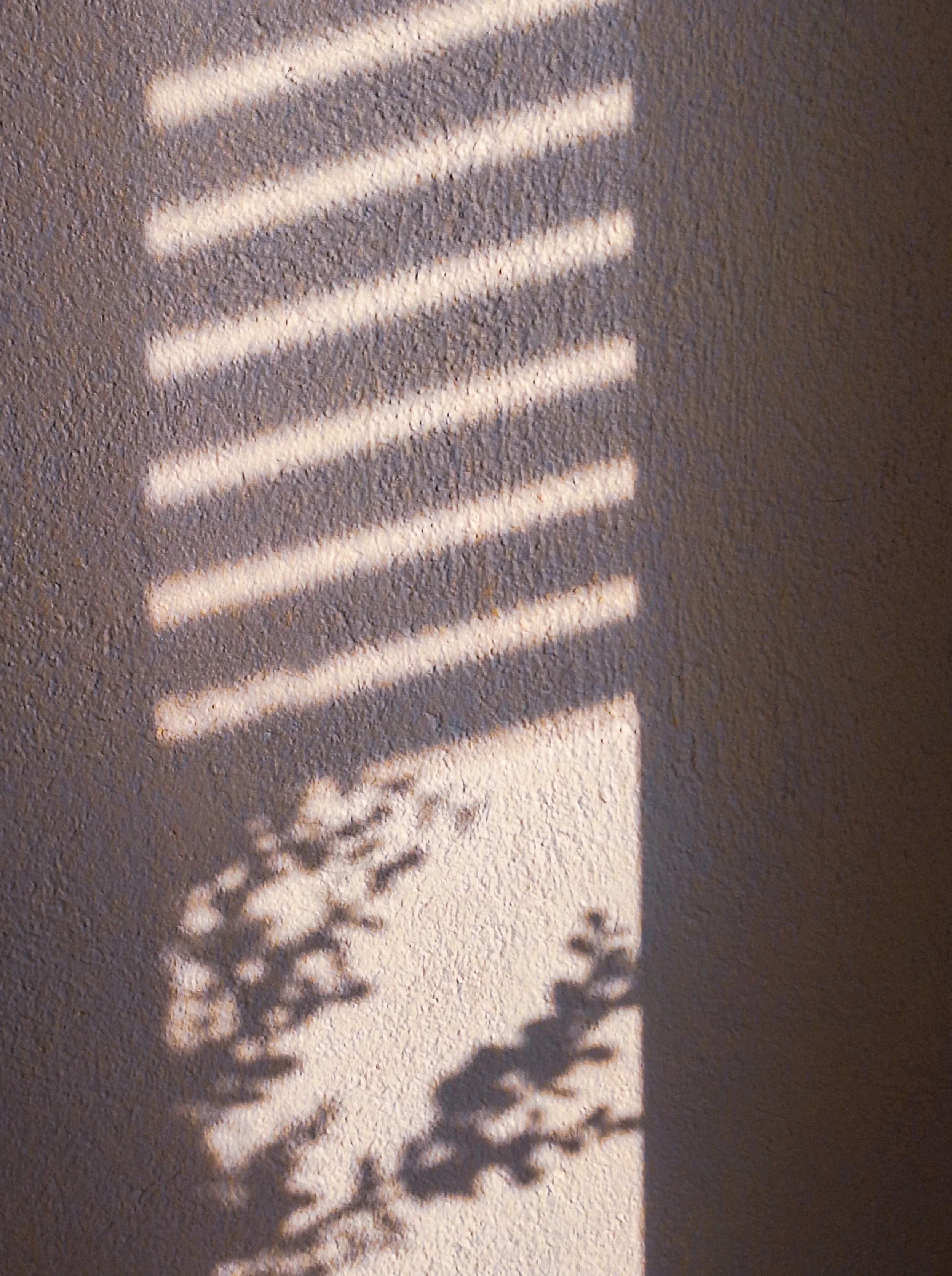 20260422_194813.jpg