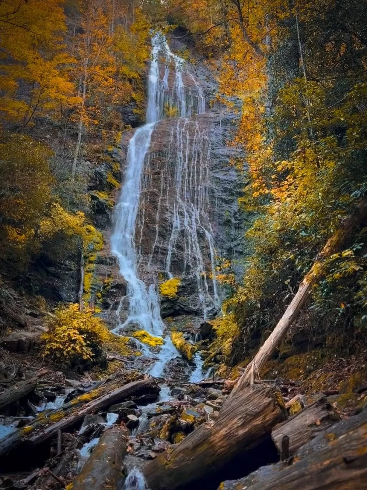Golden leaves, crisp mountain air, and waterfalls that steal the show 🍂 Spent the weekend chasing fall magic through Waterrock Knob, the Blue Ridge Parkway, and Mingo Falls #visitnc #blueridgeparkway #waterrockknob #mingofalls #smokymountains