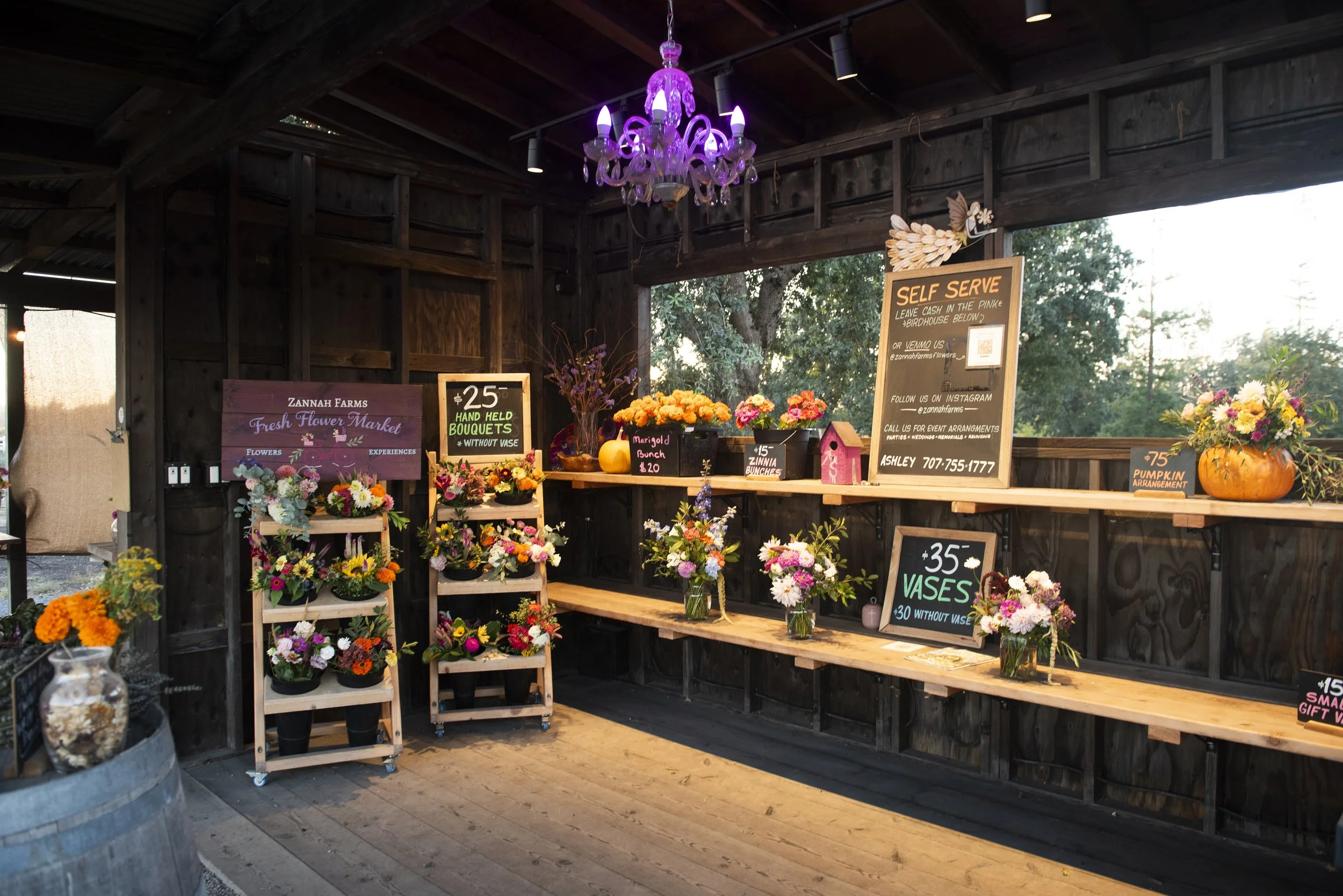 Interior of a rustic flower stand with wooden walls and shelves displaying colorful flower bouquets and pumpkins. Signs advertising prices and self-serve options are visible, with a purple chandelier hanging from the ceiling. Outside trees can be seen through the open window.