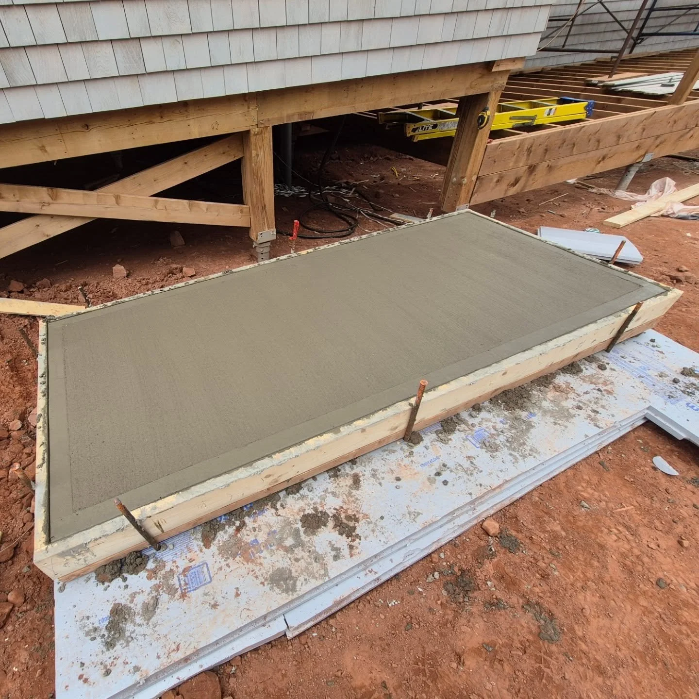 Little bit of flatwork for the boys this morning!