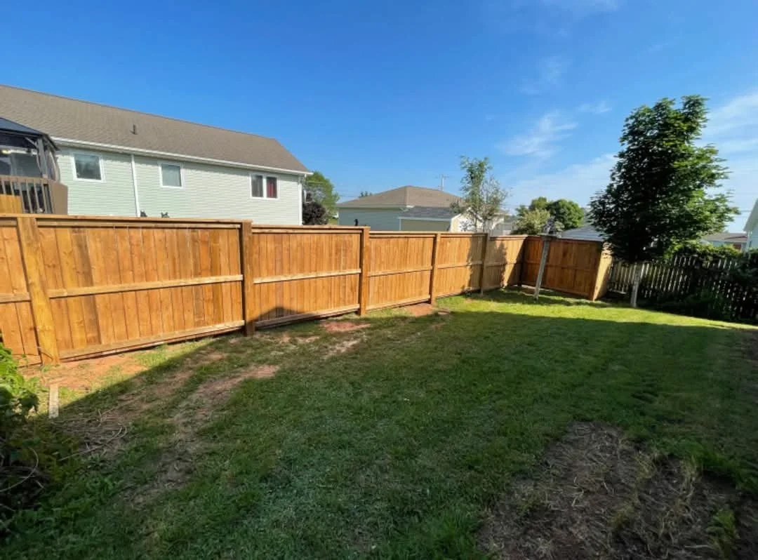 A backyard with a wooden fence, green grass, a tree, and neighboring houses under a blue sky.