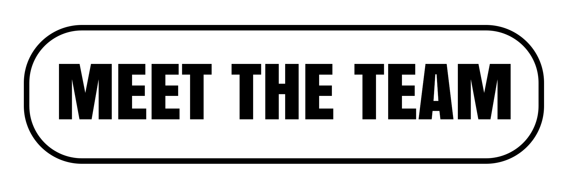Black and white digital button with rounded edges reading 'Meet the Team' in bold, black uppercase letters.
