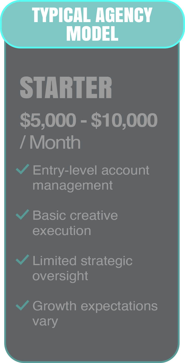 Pricing plan for a typical agency model highlighting a starter package with a monthly fee of $5,000 to $10,000, including entry-level account management, basic creative execution, limited strategic oversight, and variable growth expectations.