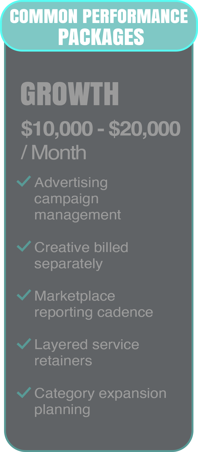 A digital graphic displaying common performance packages for growth, including advertising, creative billing, marketplace reporting, layered service retainers, and category expansion planning, with a price range of $10,000 to $20,000 per month.