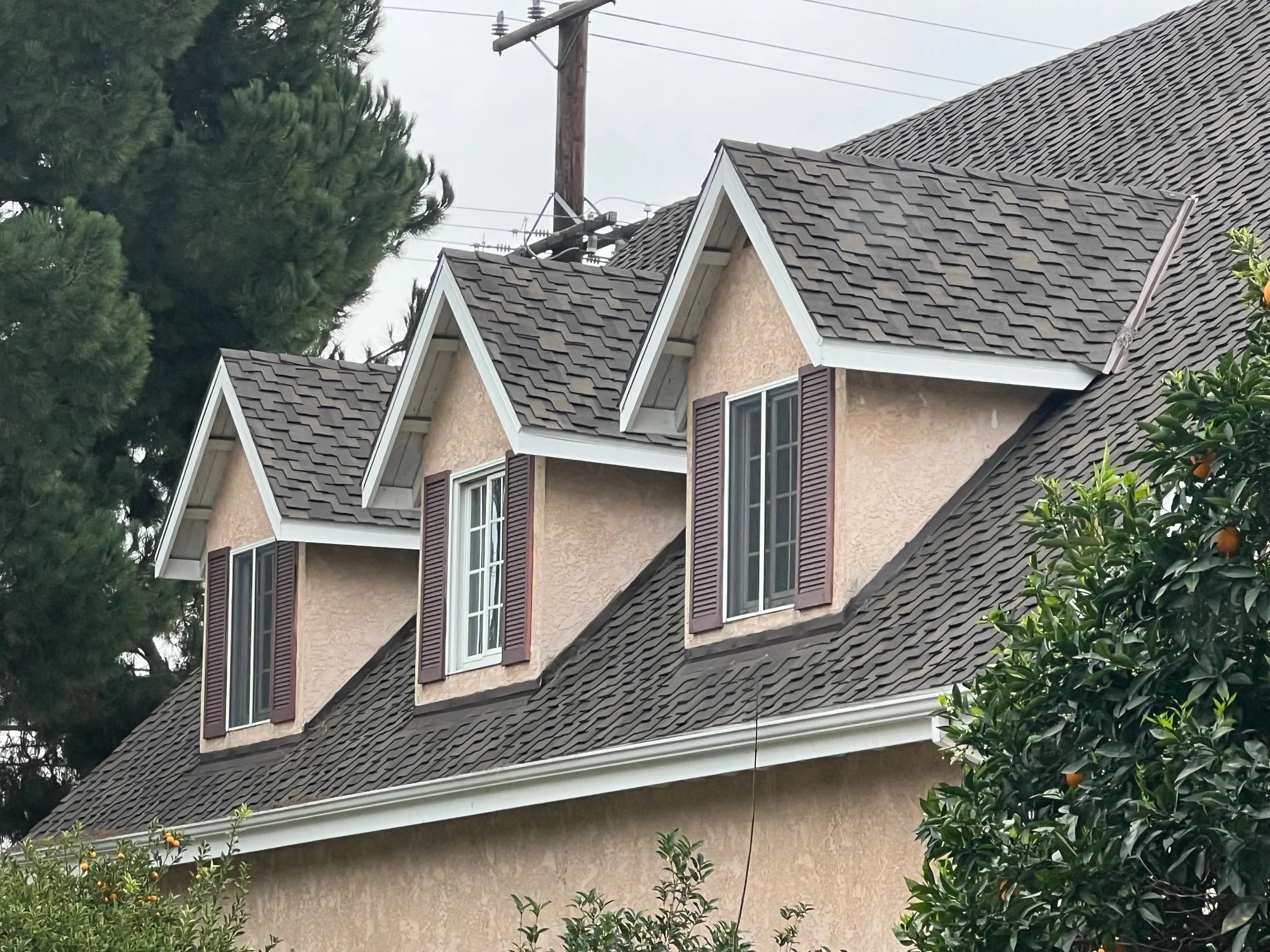 Shingle roof