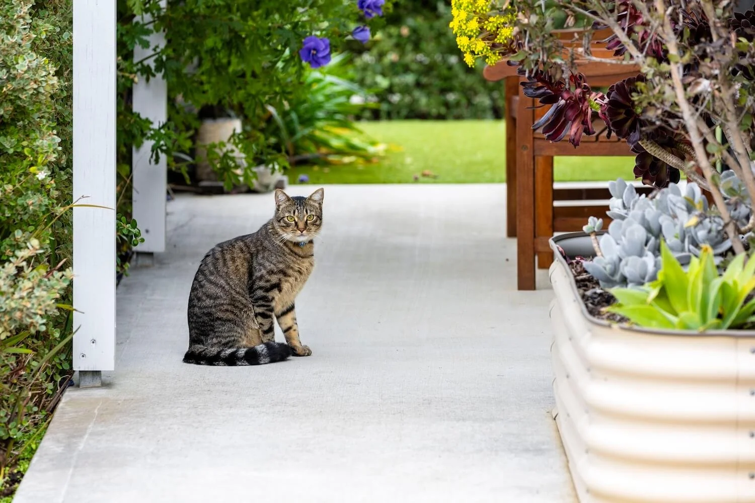 MAY SHAW_SWANSEA_2024_0308 (1).jpg