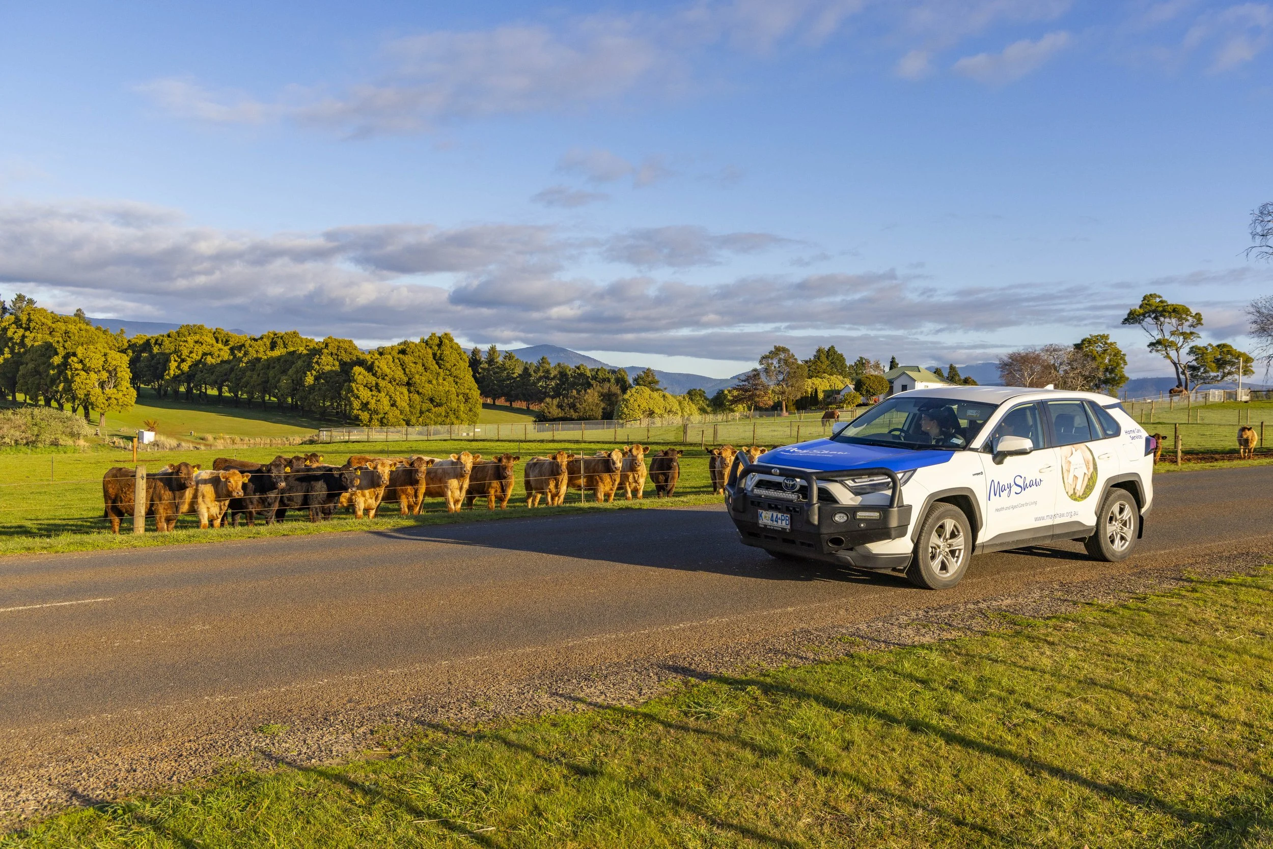 MAY SHAW_SCOTTSDALE_2024_0993.jpg