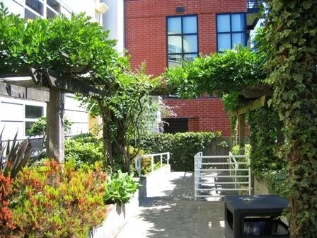 A pathway in an outdoor garden area, flanked by lush green plants and trees, with a red brick building in the background.