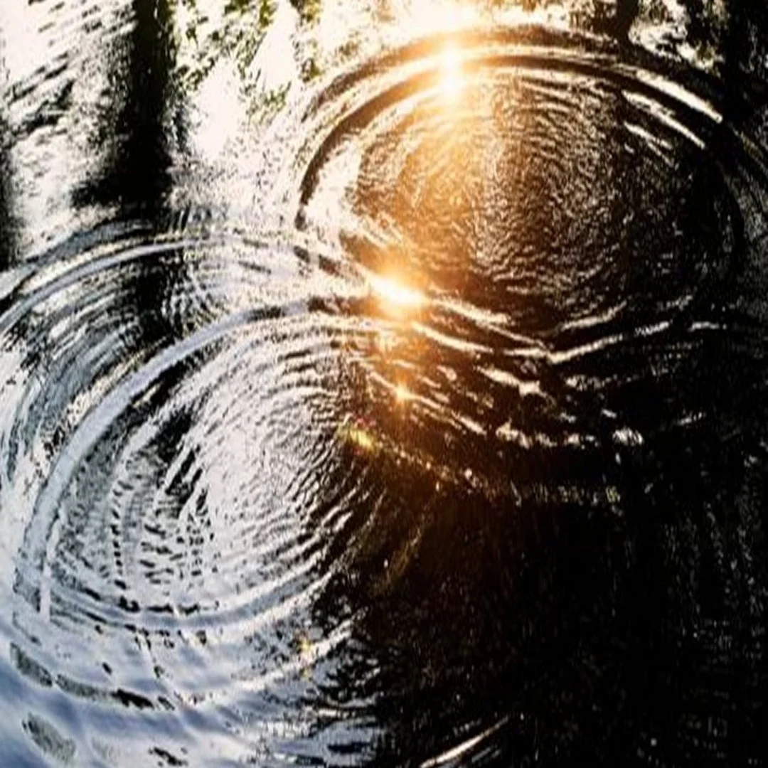 Click Hey Becky You Don't Need A Therapist. You Need Permission.