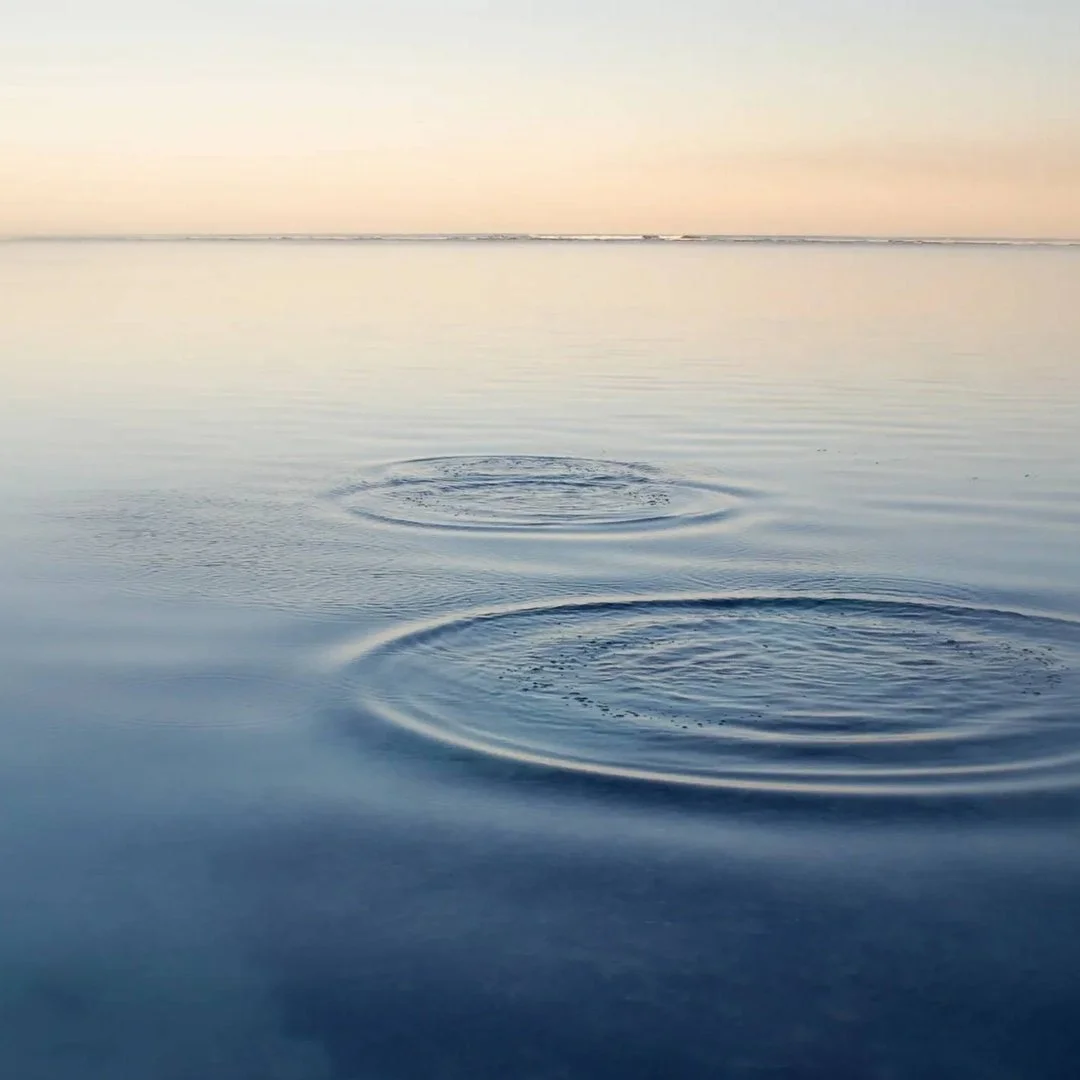 Click Hey Becky My Lived Experience And Education