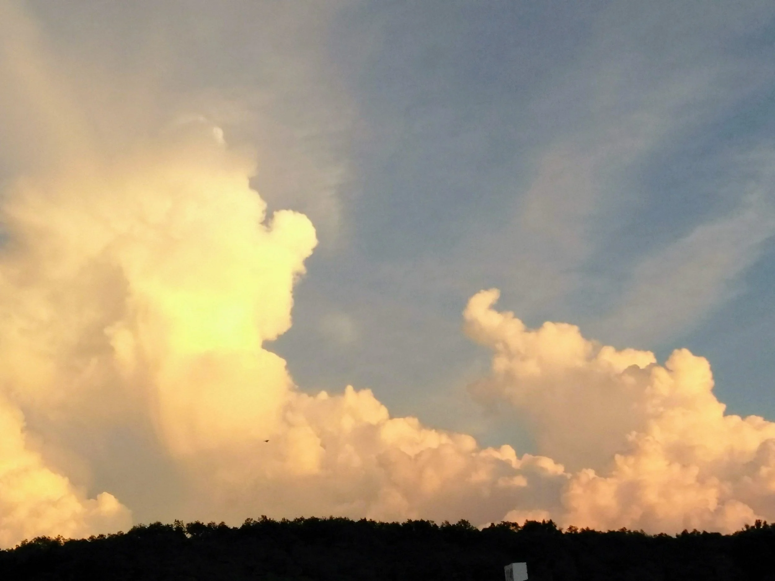 Sky with large fluffy clouds illuminated by the setting or rising sun, with a silhouette of a forested hill at the bottom.