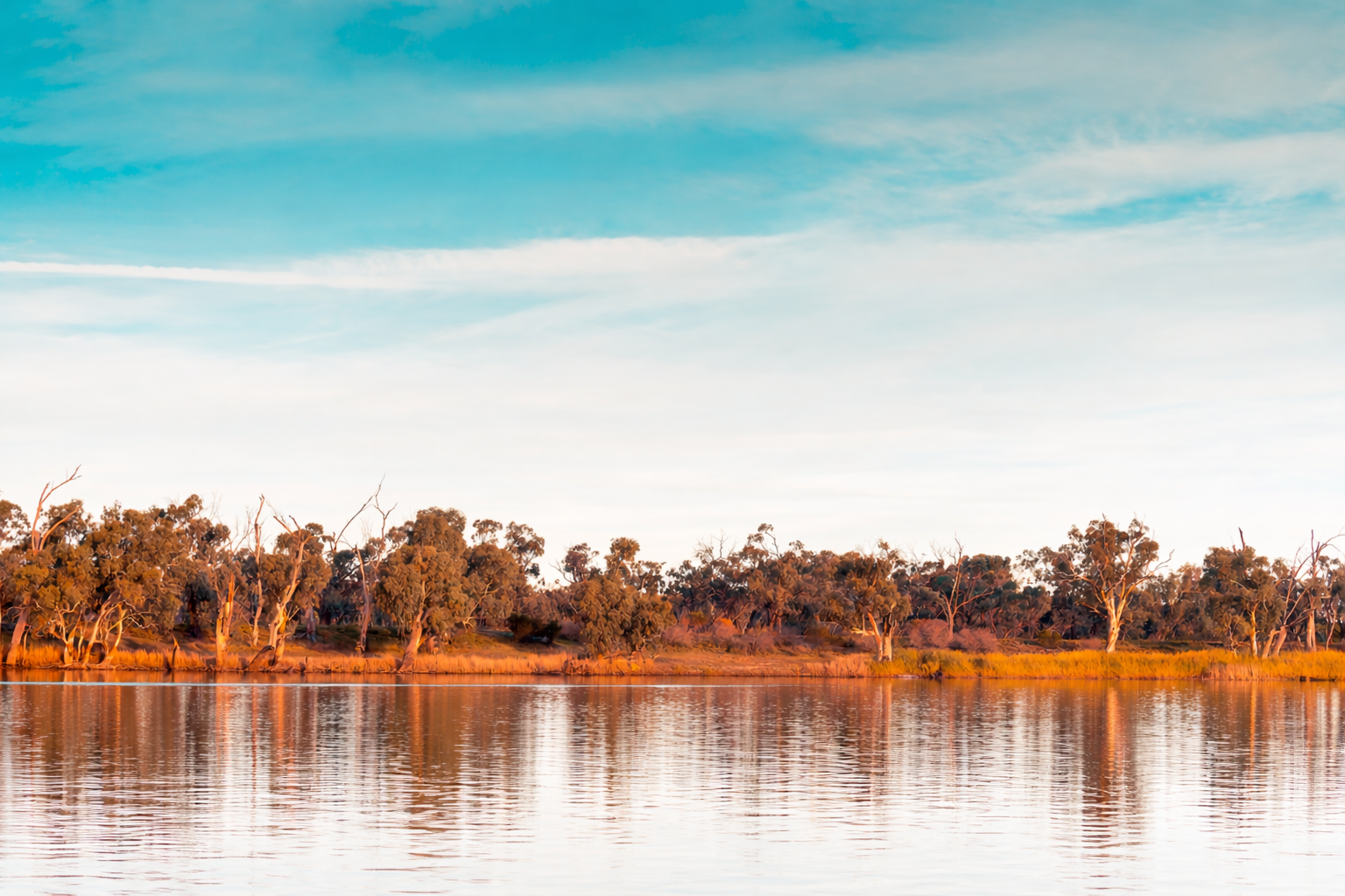 A calm river with trees along the shoreline under a blue sky with some clouds.