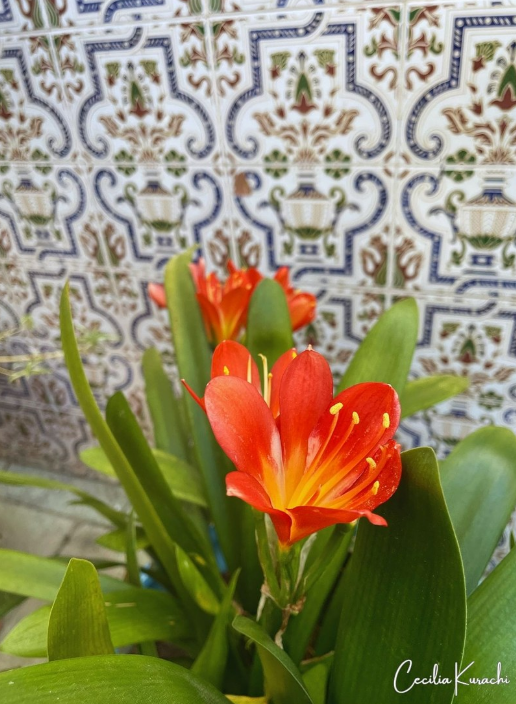 Screenshot (682).png