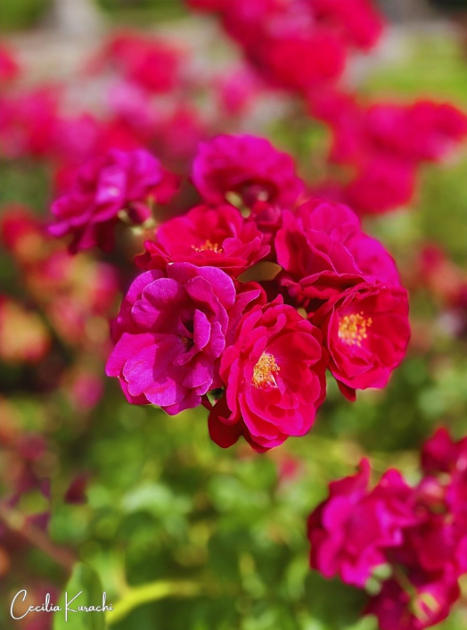 Screenshot (670).png