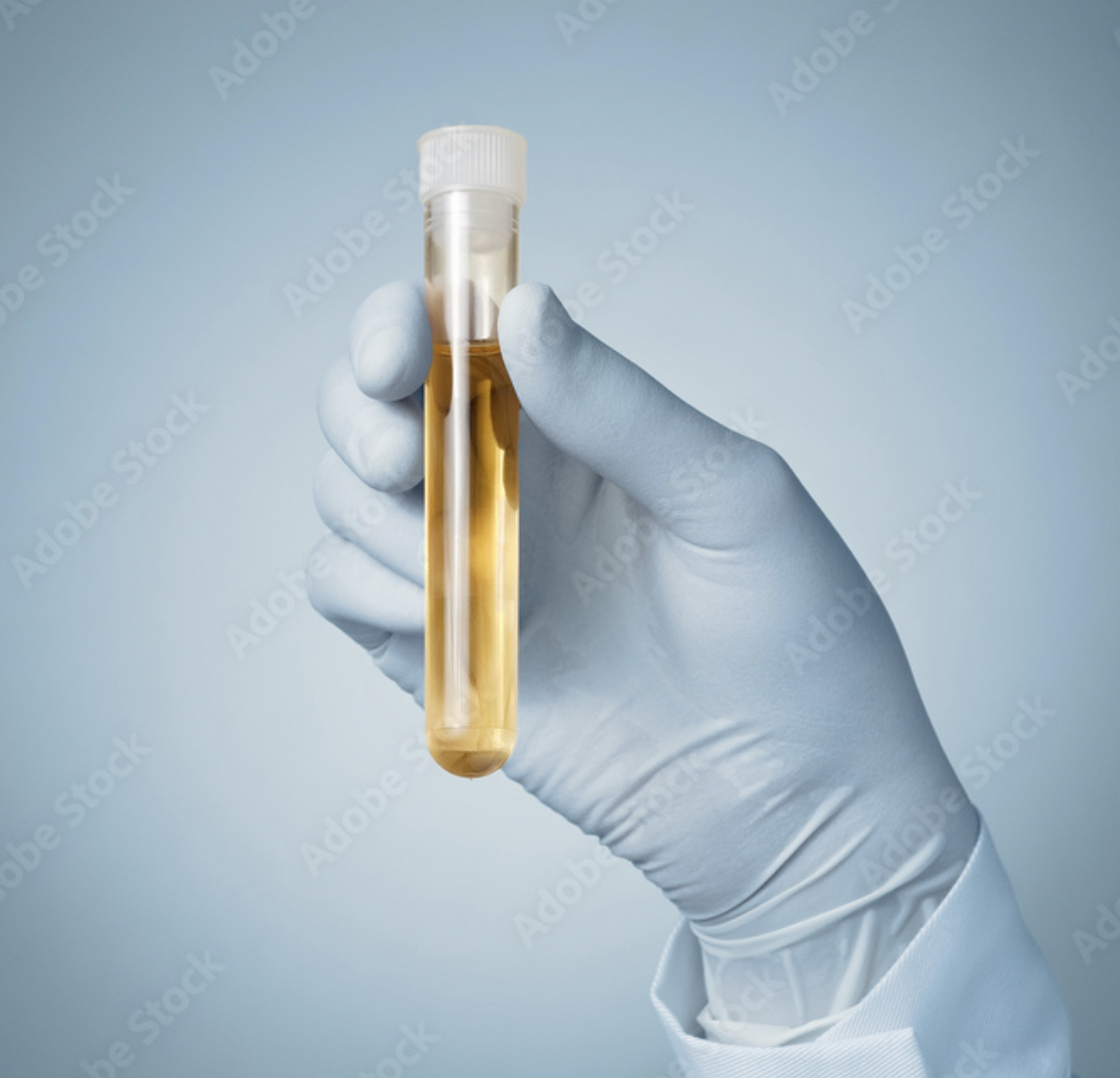 Screenshot 2025-12-02 at 7.54.56 PM.png