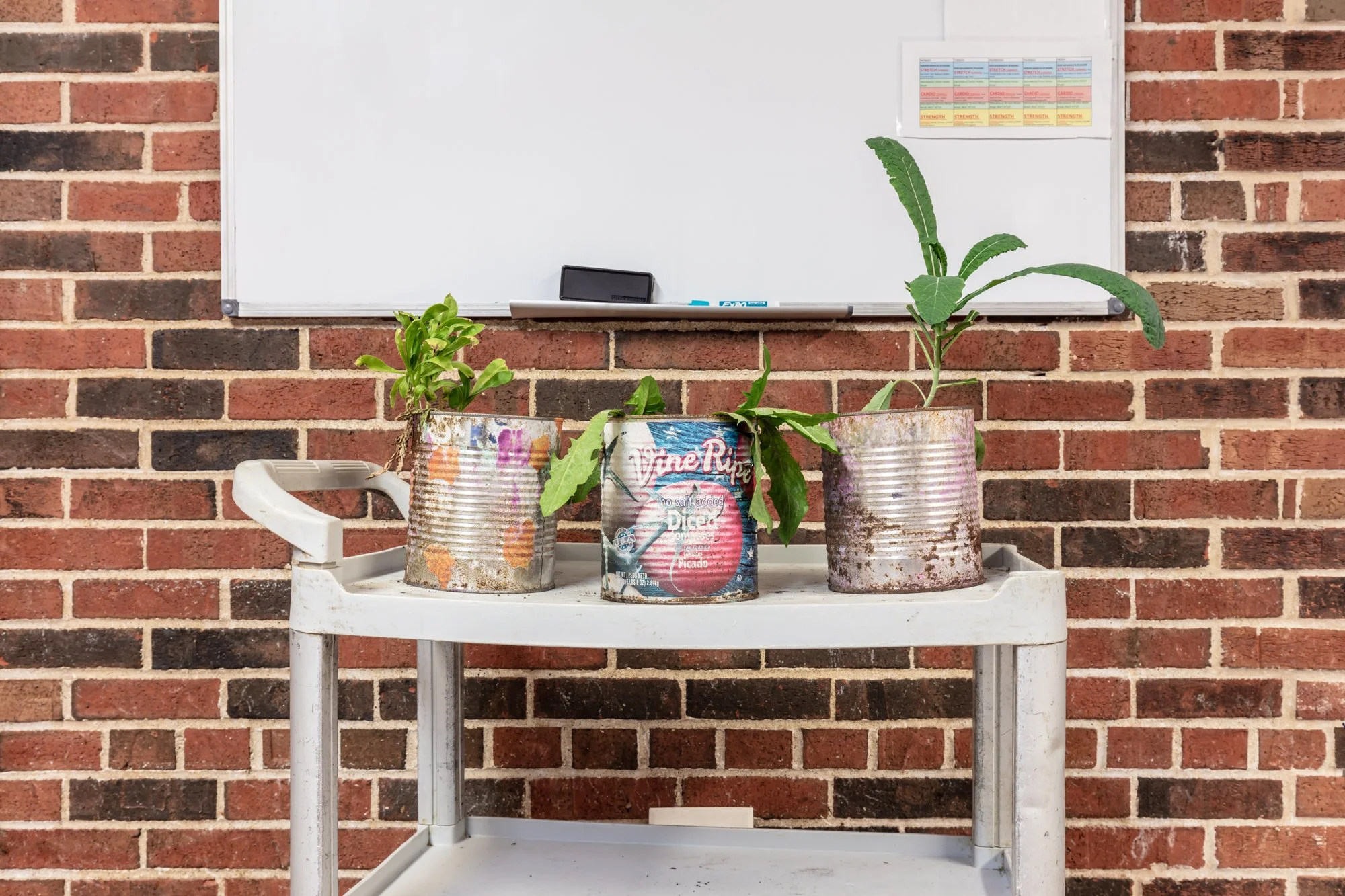 Dining Area (ICC), Chicago, IL (Roger’s Park) – 2020.jpg