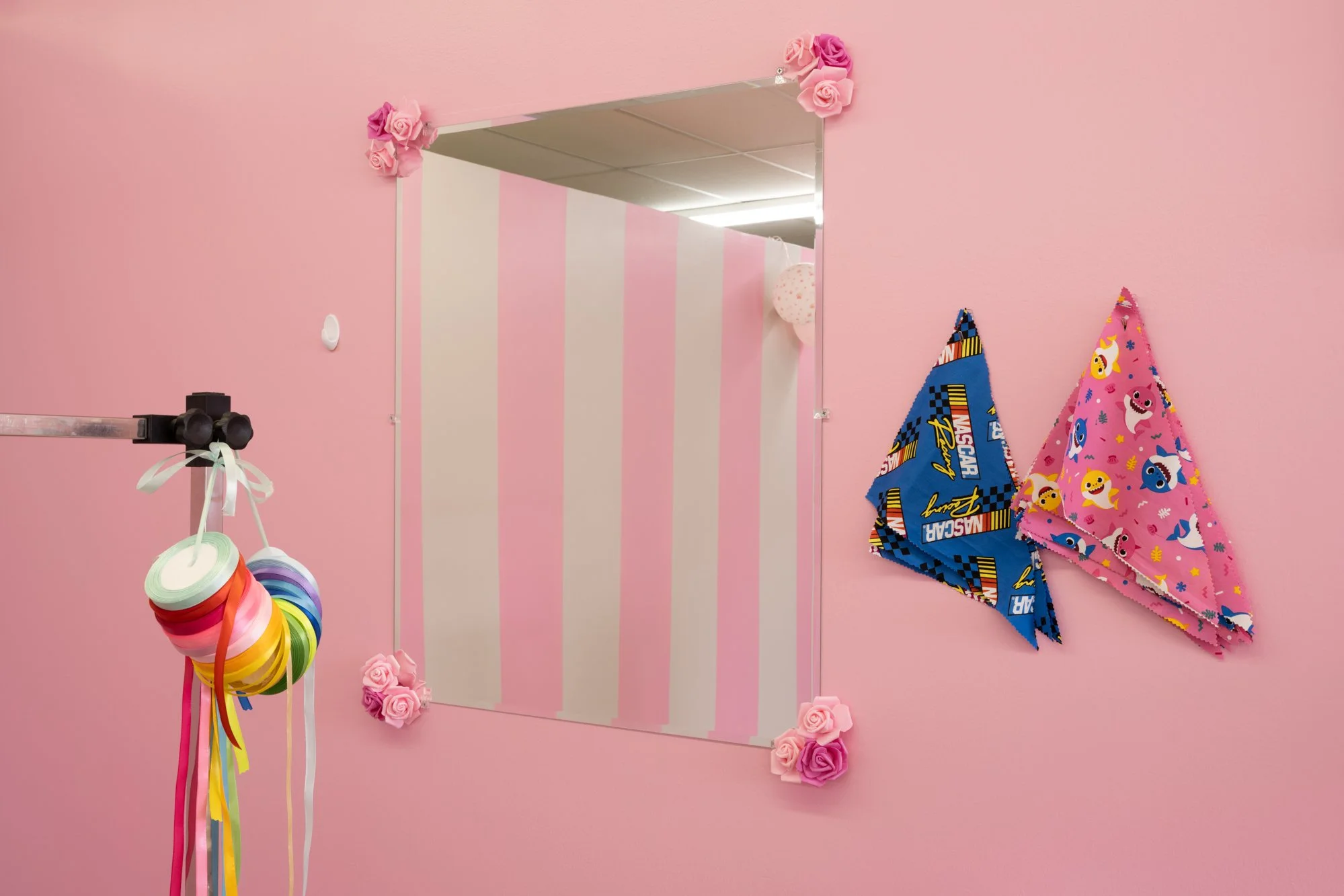 Fridy’s Pet Grooming, Chicago (Chicago Lawn) #2.jpg